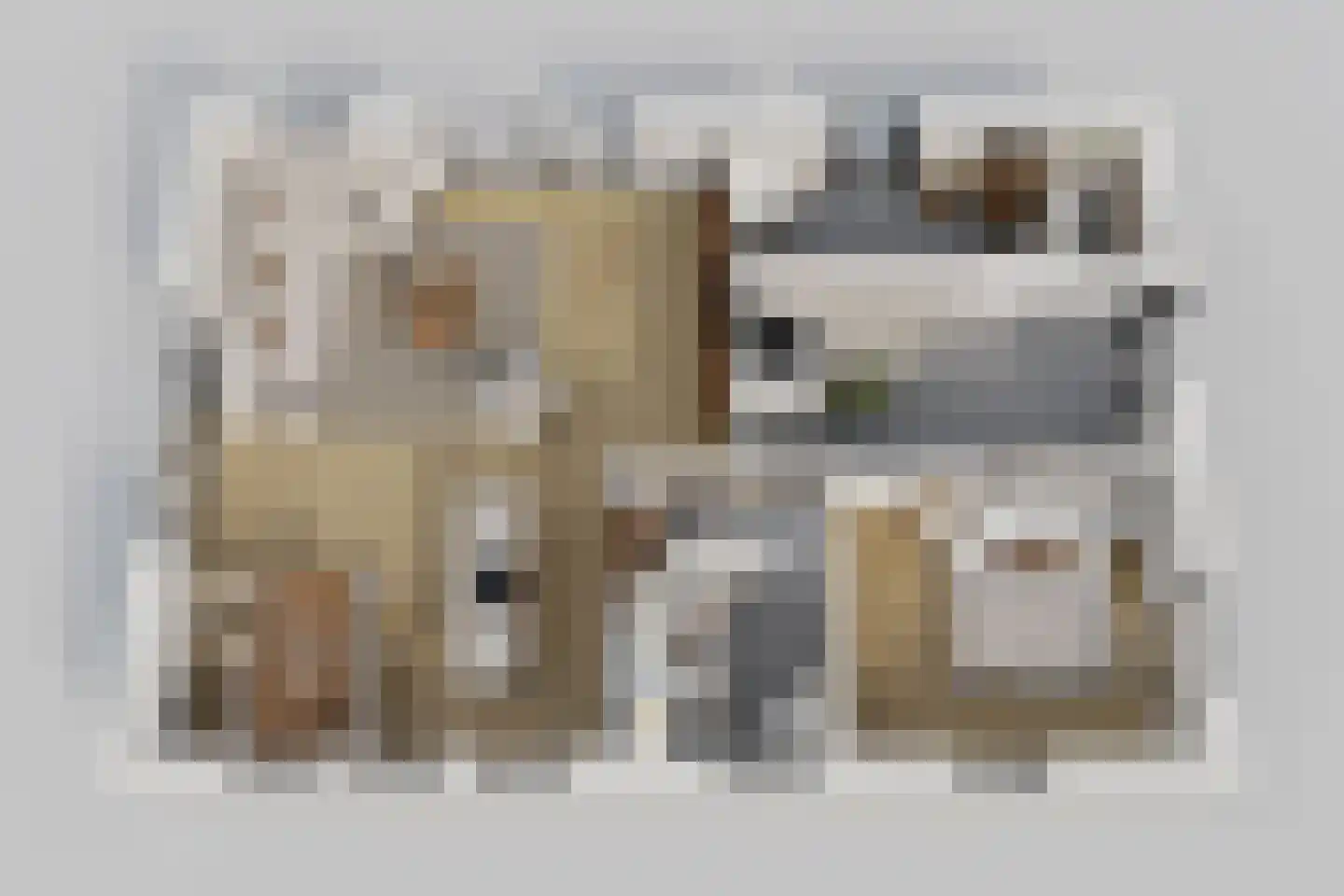 Brinksteeg 4 Zeijen thumbnail 4