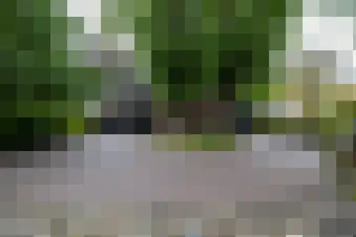 Brinkstraat 1 Vries thumbnail 10