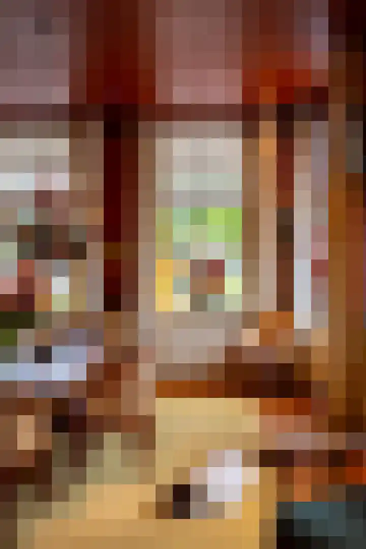 Brinkstraat 1 Vries thumbnail 17