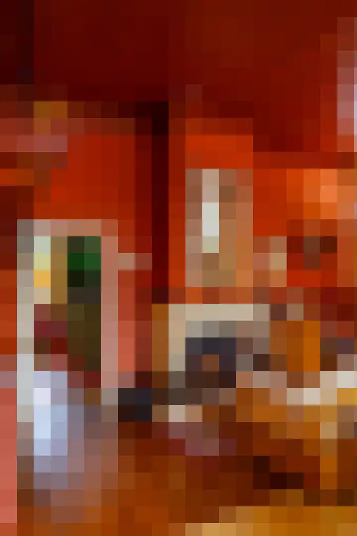 Brinkstraat 1 Vries thumbnail 19