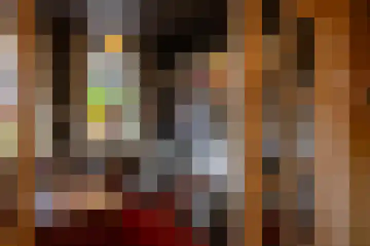 Brinkstraat 1 Vries thumbnail 20