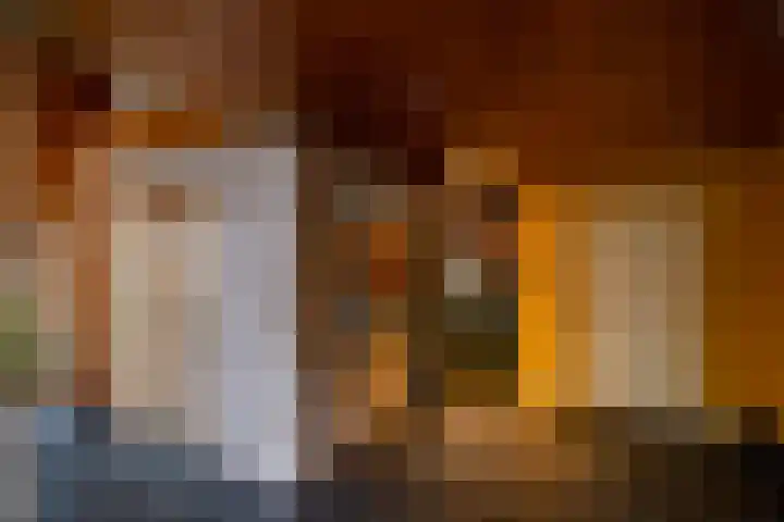 Brinkstraat 1 Vries thumbnail 32
