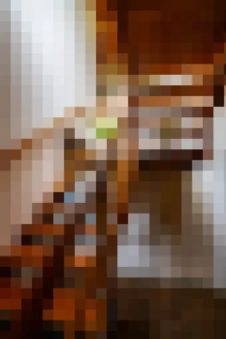 Brinkstraat 1 Vries thumbnail 35