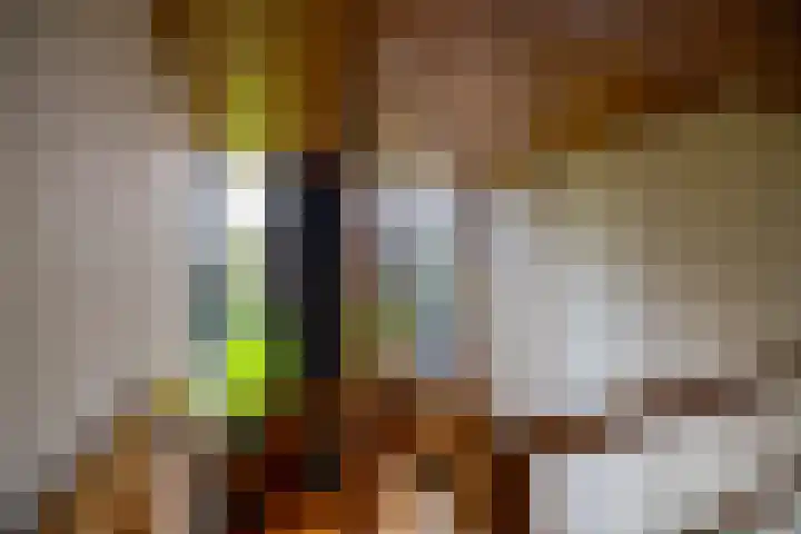 Brinkstraat 1 Vries thumbnail 36