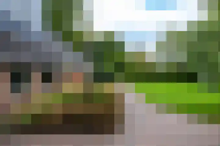 Brinkstraat 1 Vries thumbnail 4
