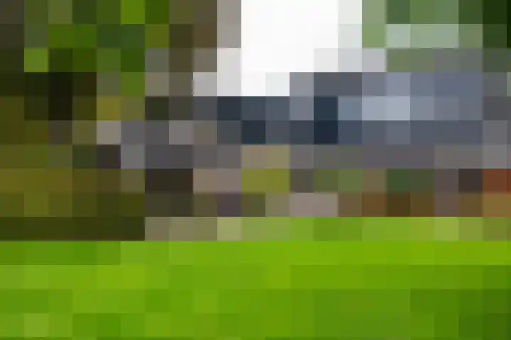 Brinkstraat 1 Vries thumbnail 6