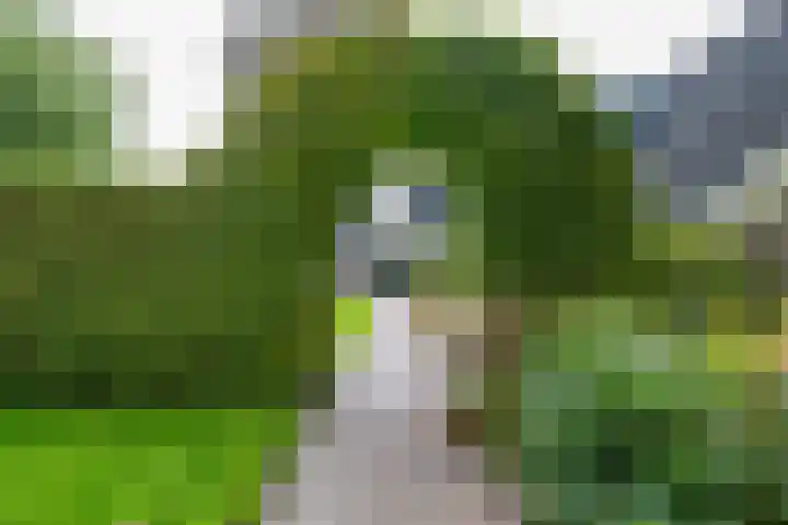Brinkstraat 1 Vries thumbnail 8