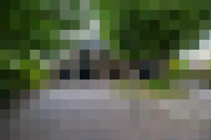 Brinkstraat 1 Vries thumbnail 9