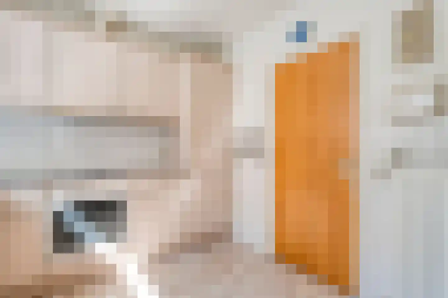 Brinkstraat 10 Diever thumbnail 28