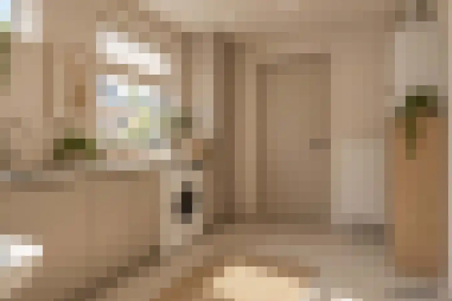 Brinkstraat 10 Diever thumbnail 29