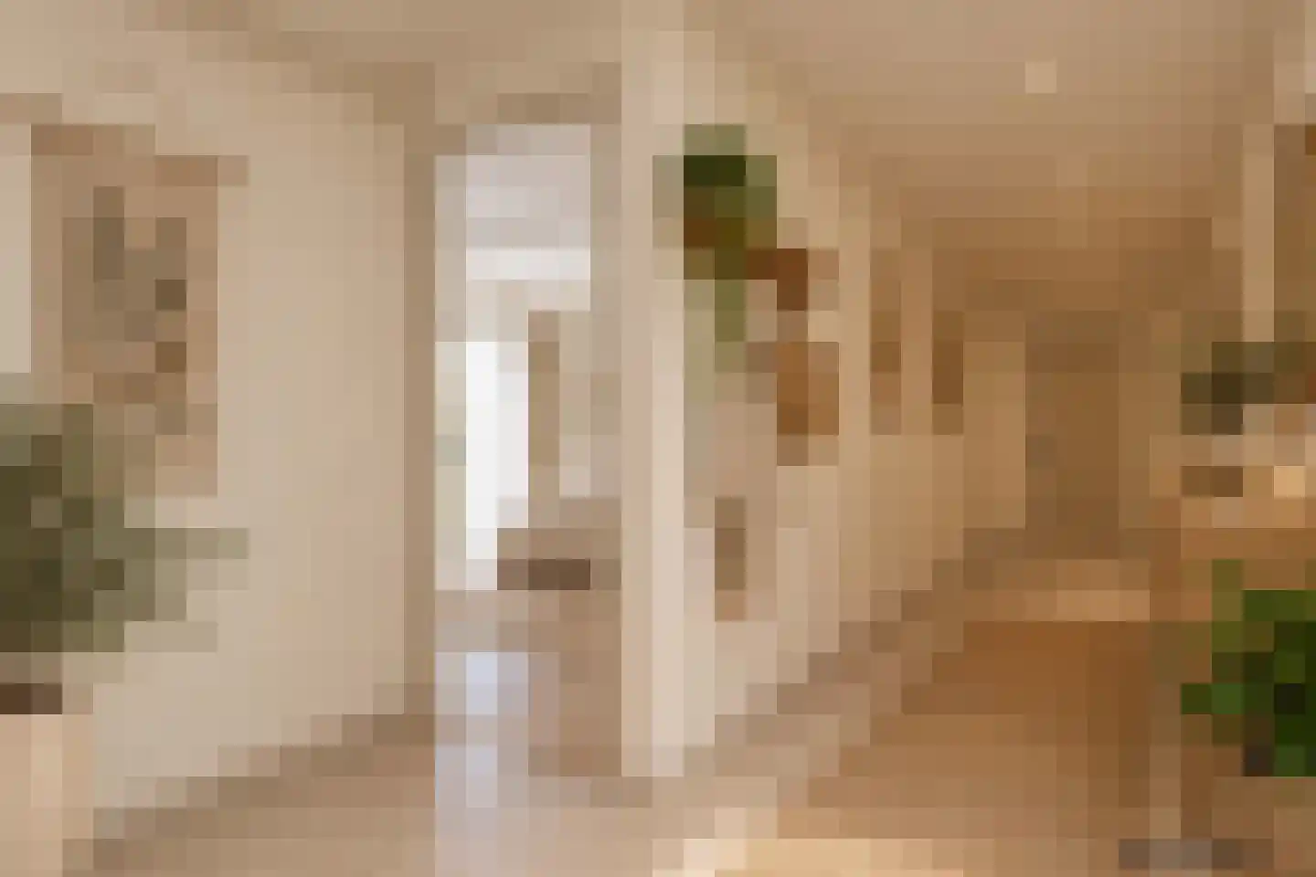 Brinkstraat 10 Diever thumbnail 34
