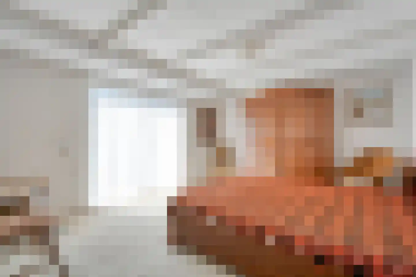 Brinkstraat 10 Diever thumbnail 37