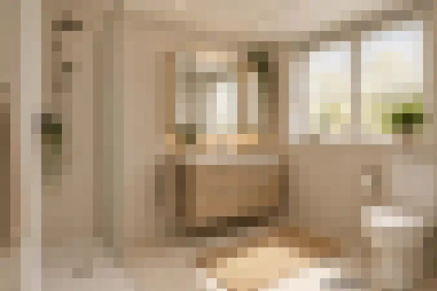 Brinkstraat 10 Diever thumbnail 39