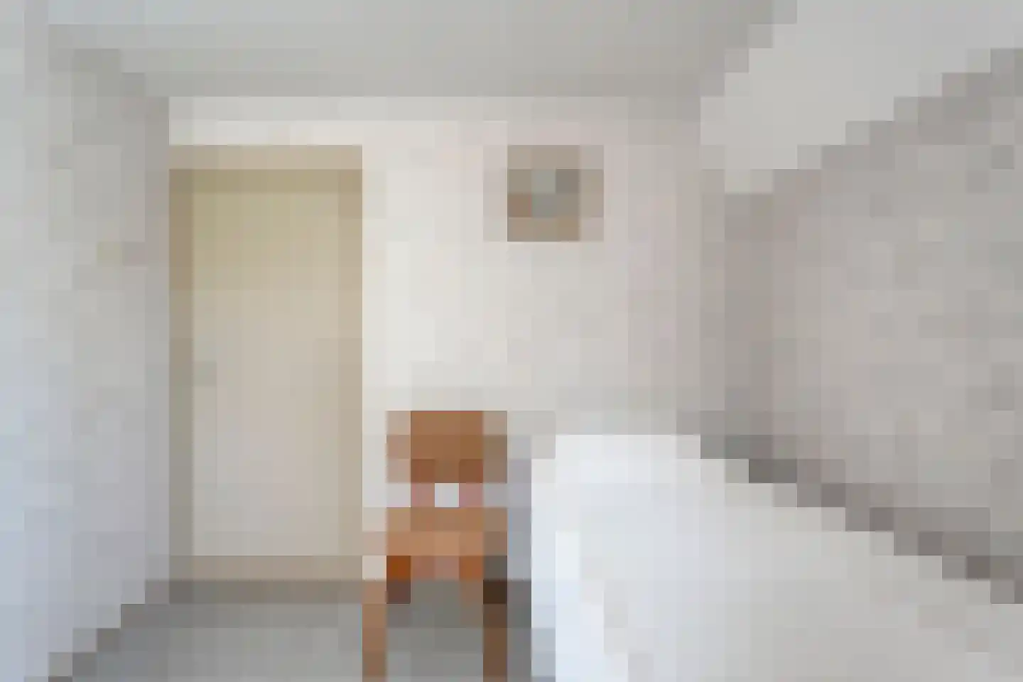 Brinkstraat 10 Diever thumbnail 39