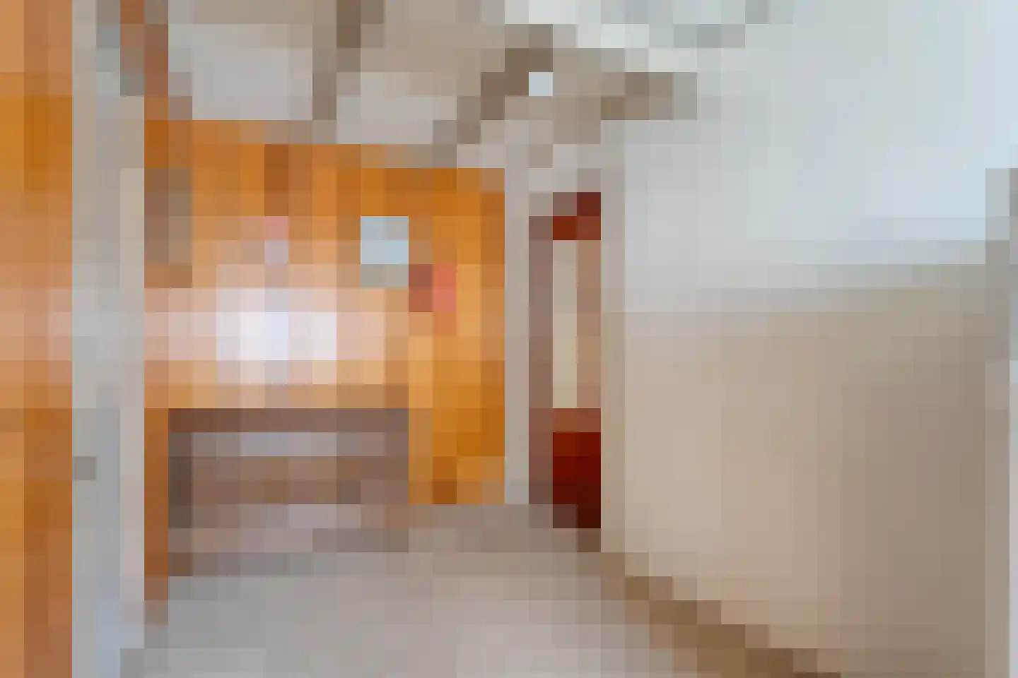 Brinkstraat 10 Diever thumbnail 44
