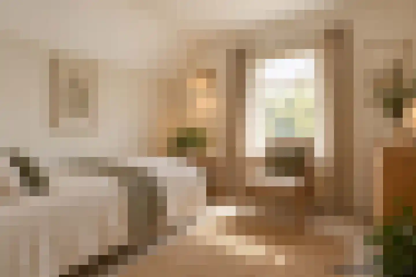Brinkstraat 10 Diever thumbnail 47