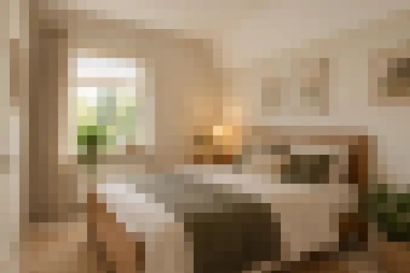 Brinkstraat 10 Diever thumbnail 49