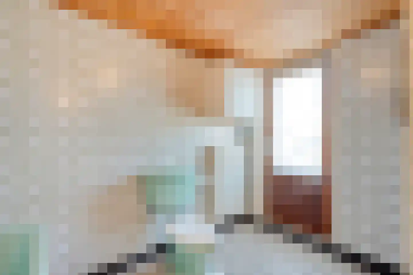 Brinkstraat 10 Diever thumbnail 57