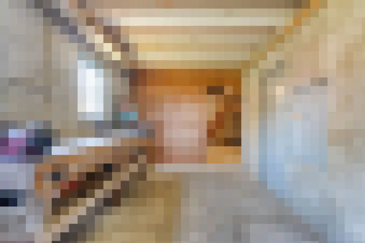 Brinkstraat 10 Diever thumbnail 59