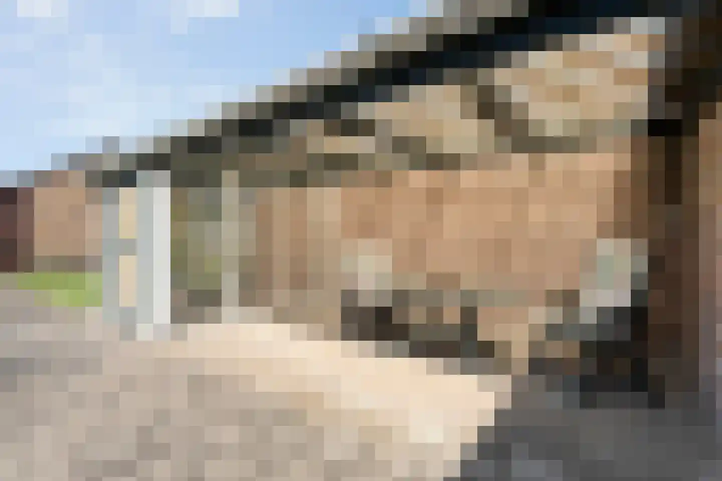 Brinkstraat 10 Diever thumbnail 60