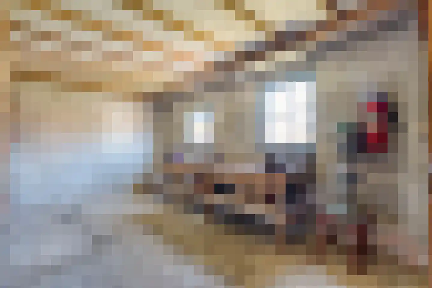 Brinkstraat 10 Diever thumbnail 60