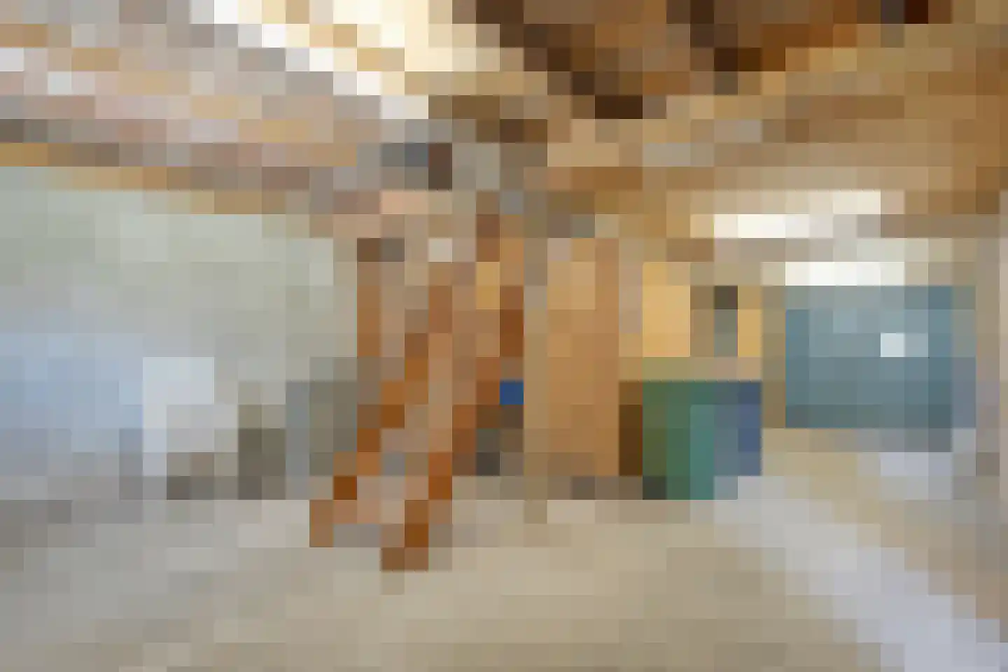 Brinkstraat 10 Diever thumbnail 62