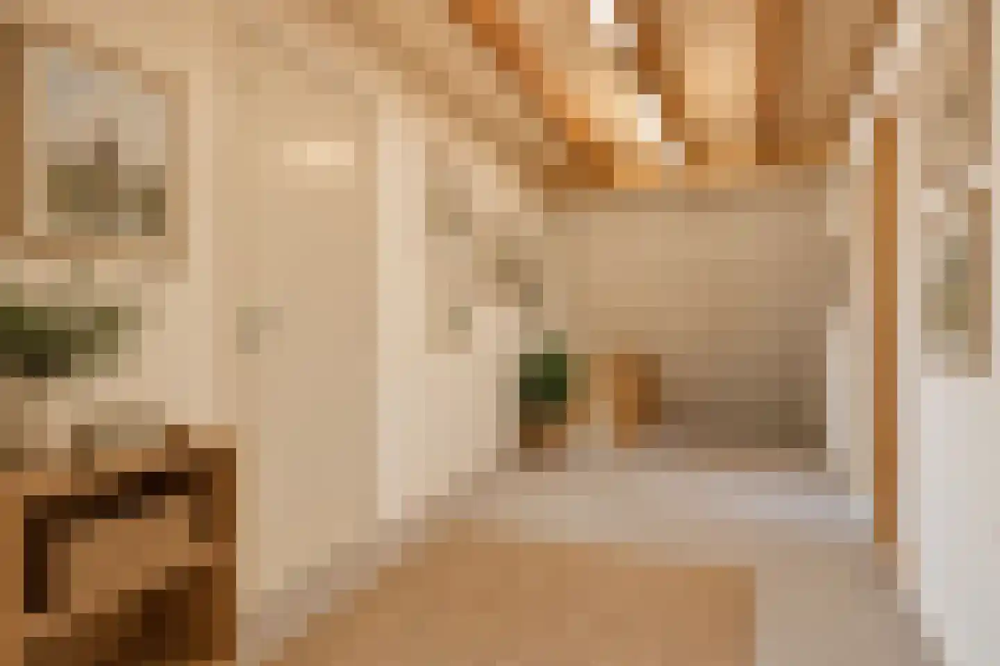 Brinkstraat 10 Diever thumbnail 64