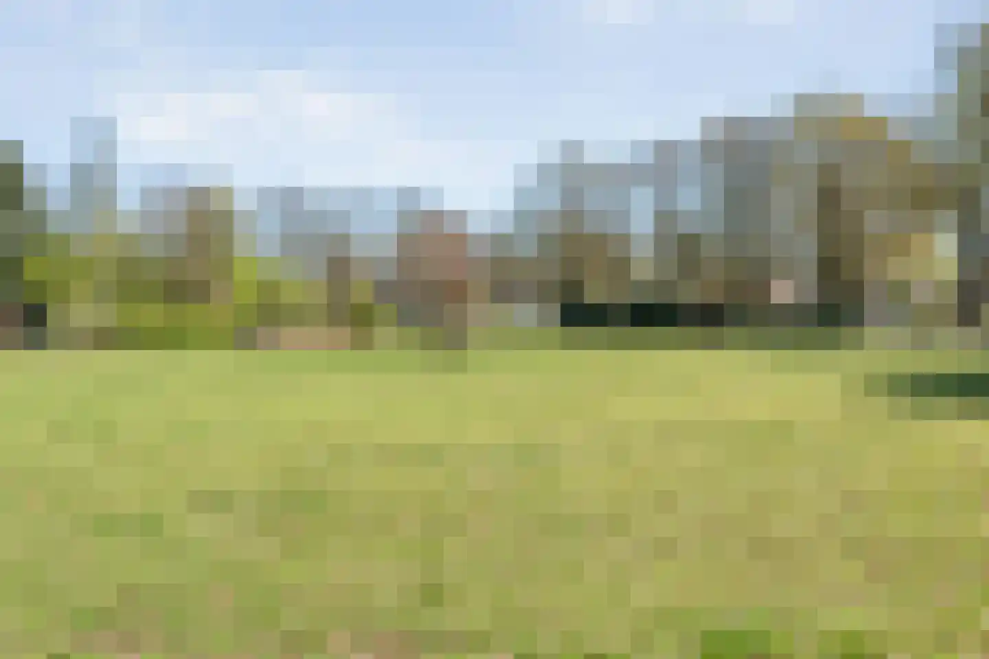 Brinkstraat 10 Diever thumbnail 64