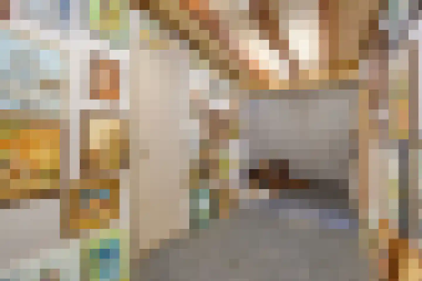 Brinkstraat 10 Diever thumbnail 65