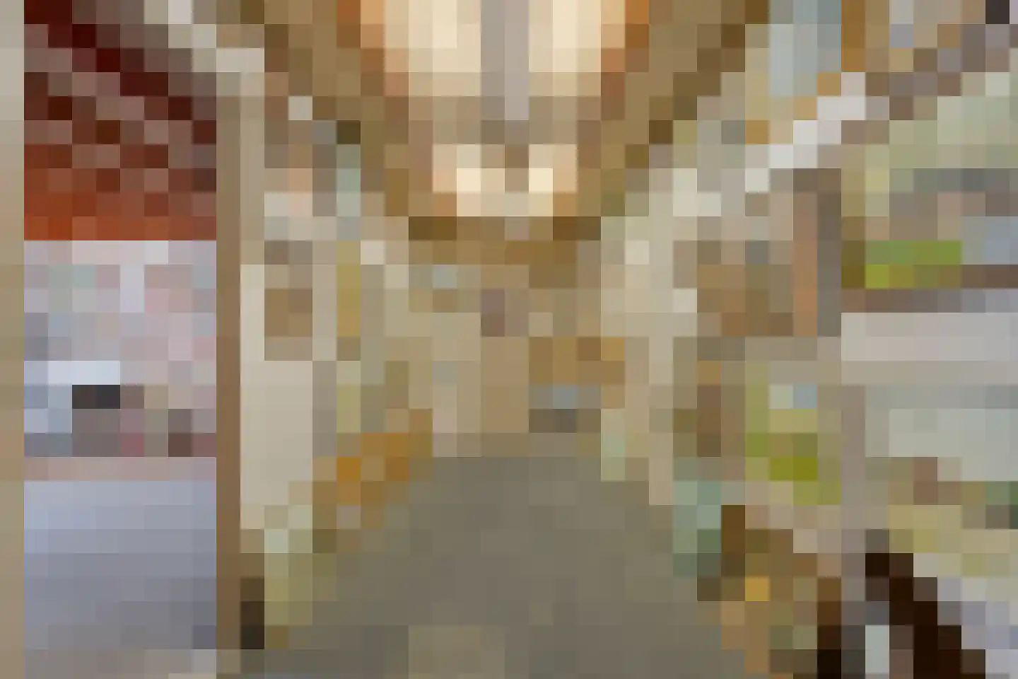 Brinkstraat 10 Diever thumbnail 66