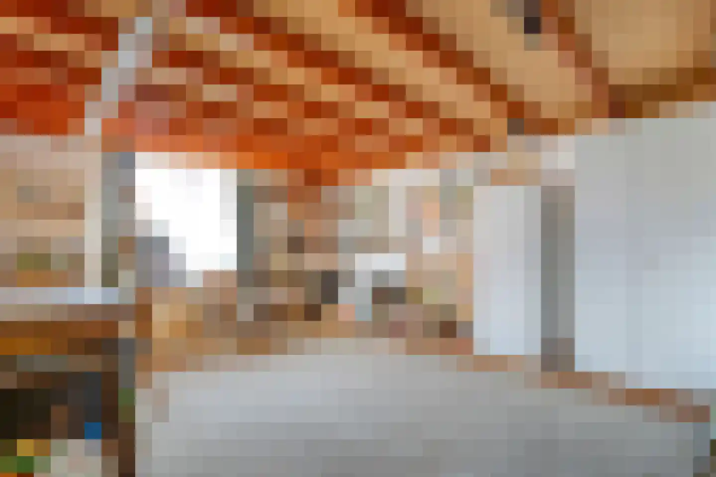 Brinkstraat 10 Diever thumbnail 68