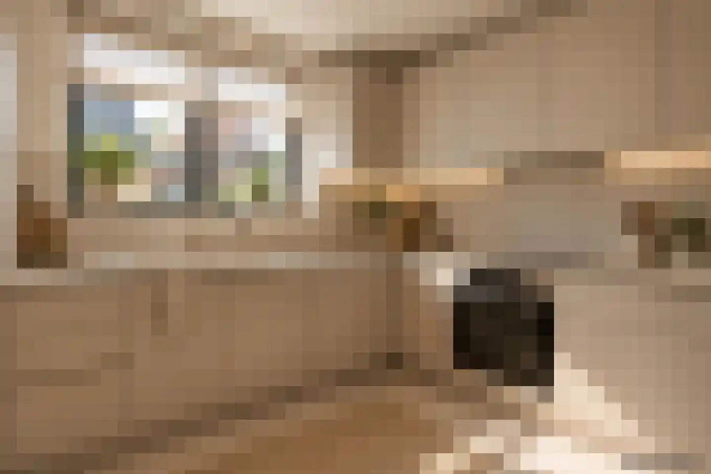Brinkstraat 10 Diever thumbnail 7