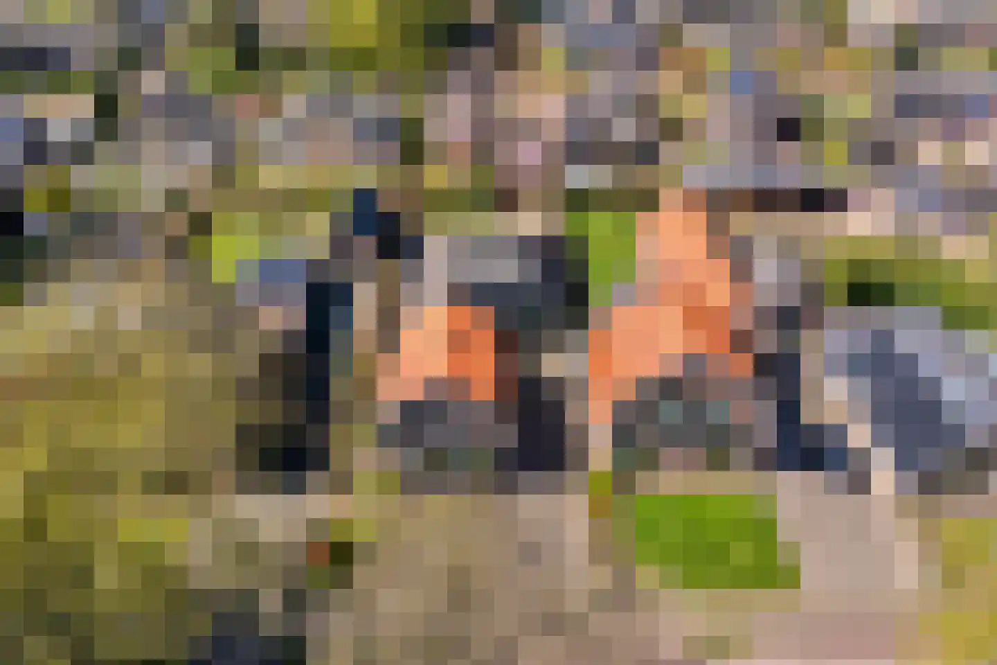 Brinkstraat 10 Diever thumbnail 7