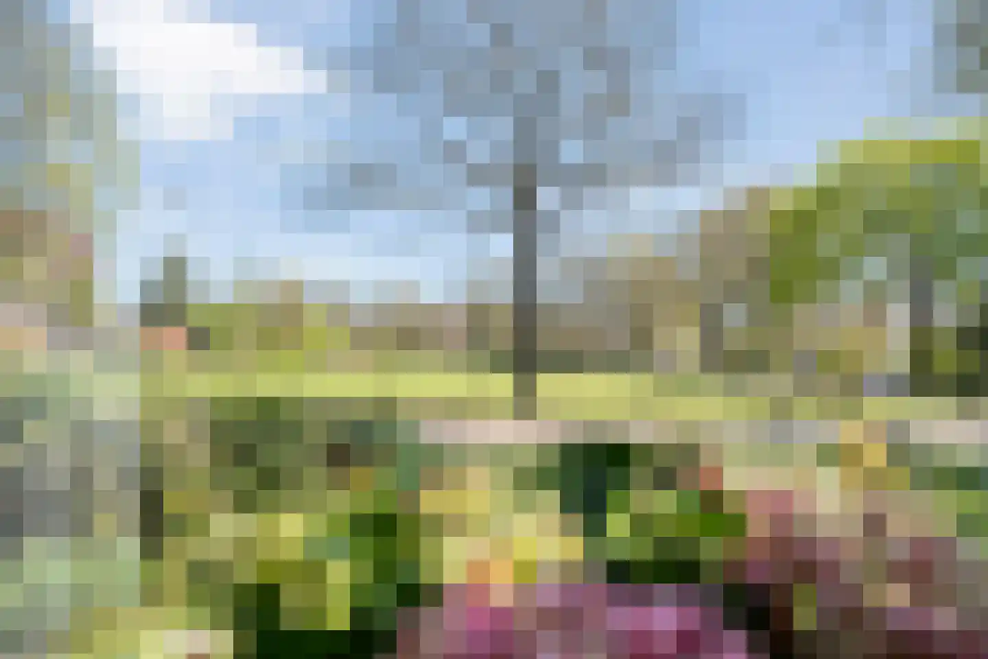 Brinkstraat 10 Diever thumbnail 74