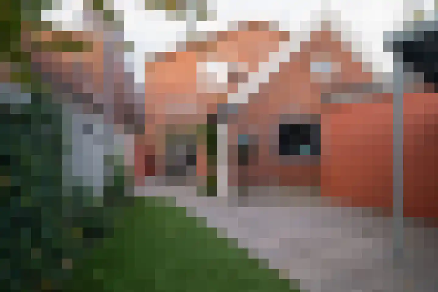 Brinkstraat 102 Enschede thumbnail 34