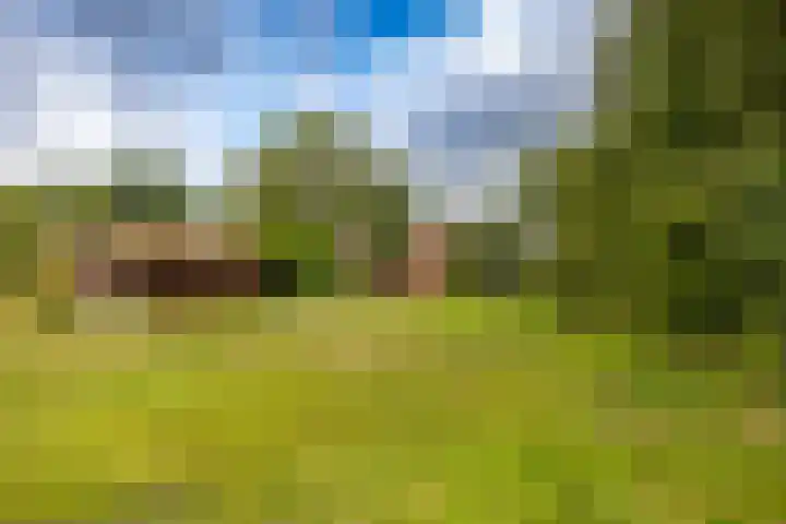Brinkstraat 12 Anloo thumbnail 11