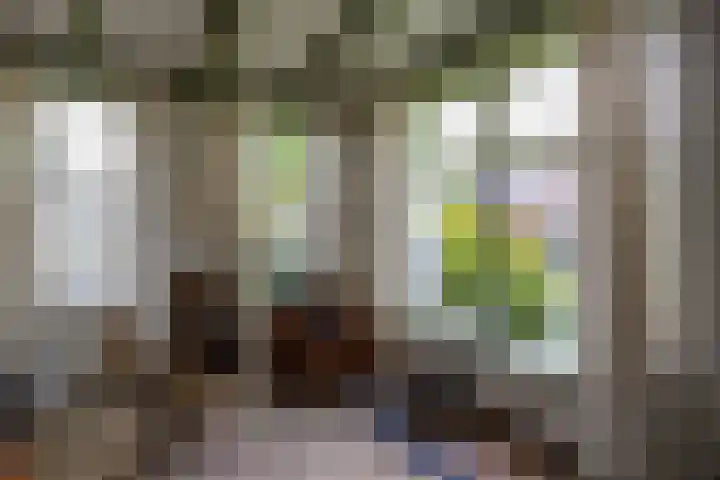 Brinkstraat 12 Anloo thumbnail 26