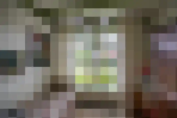 Brinkstraat 12 Anloo thumbnail 27