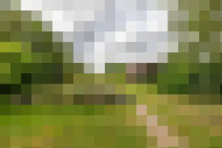 Brinkstraat 12 Anloo thumbnail 5
