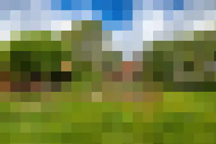 Brinkstraat 12 Anloo thumbnail 6