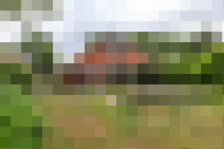 Brinkstraat 12 Anloo thumbnail 7
