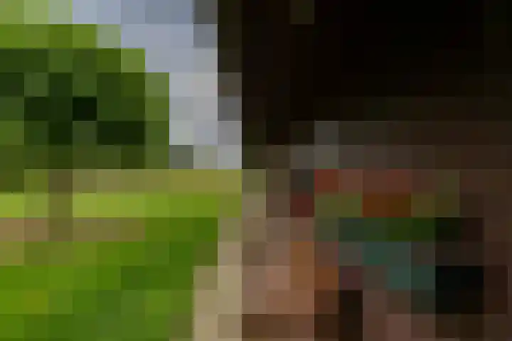 Brinkstraat 12 Anloo thumbnail 9
