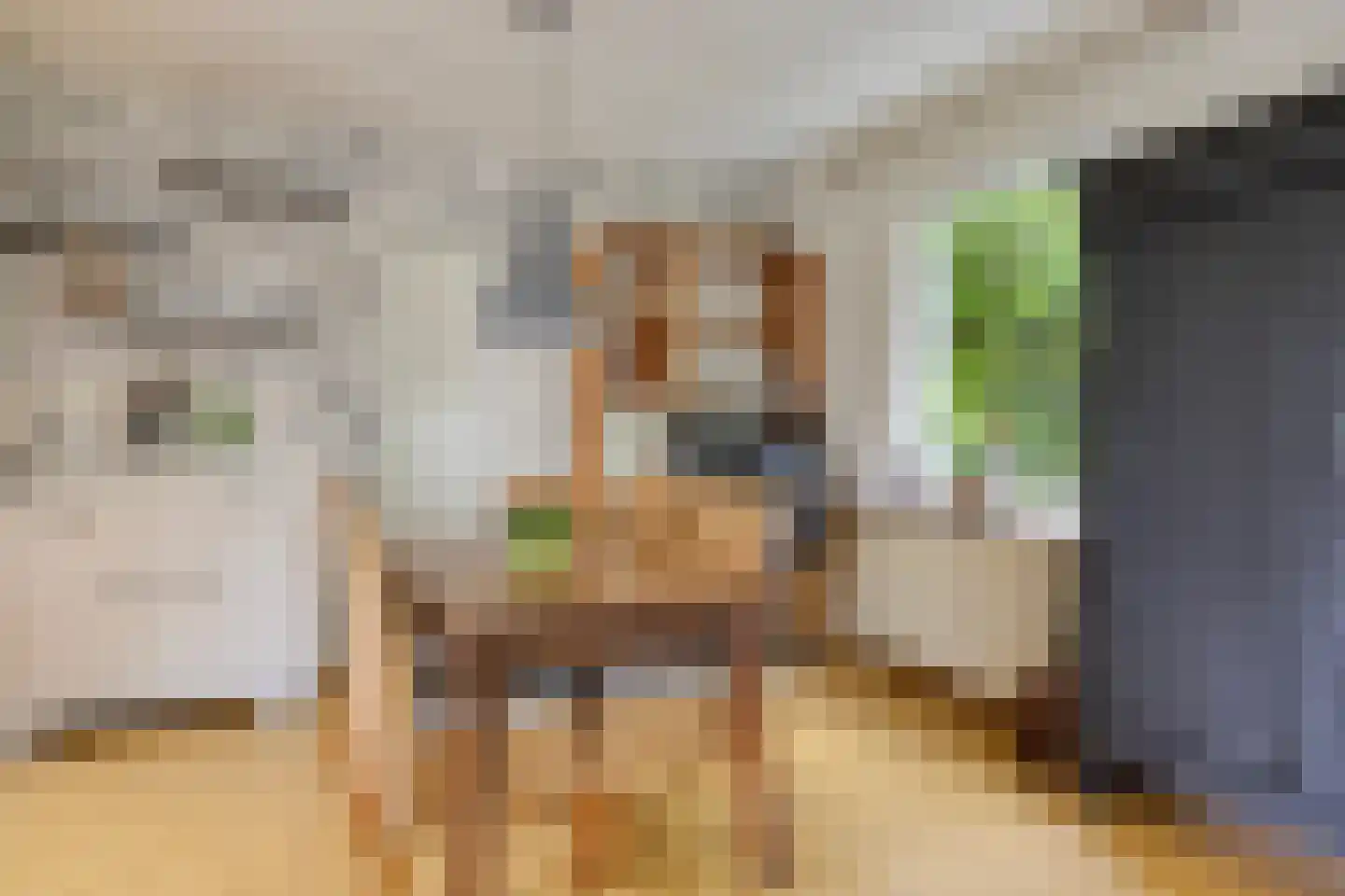 Brinkstraat 15 Diever thumbnail 11
