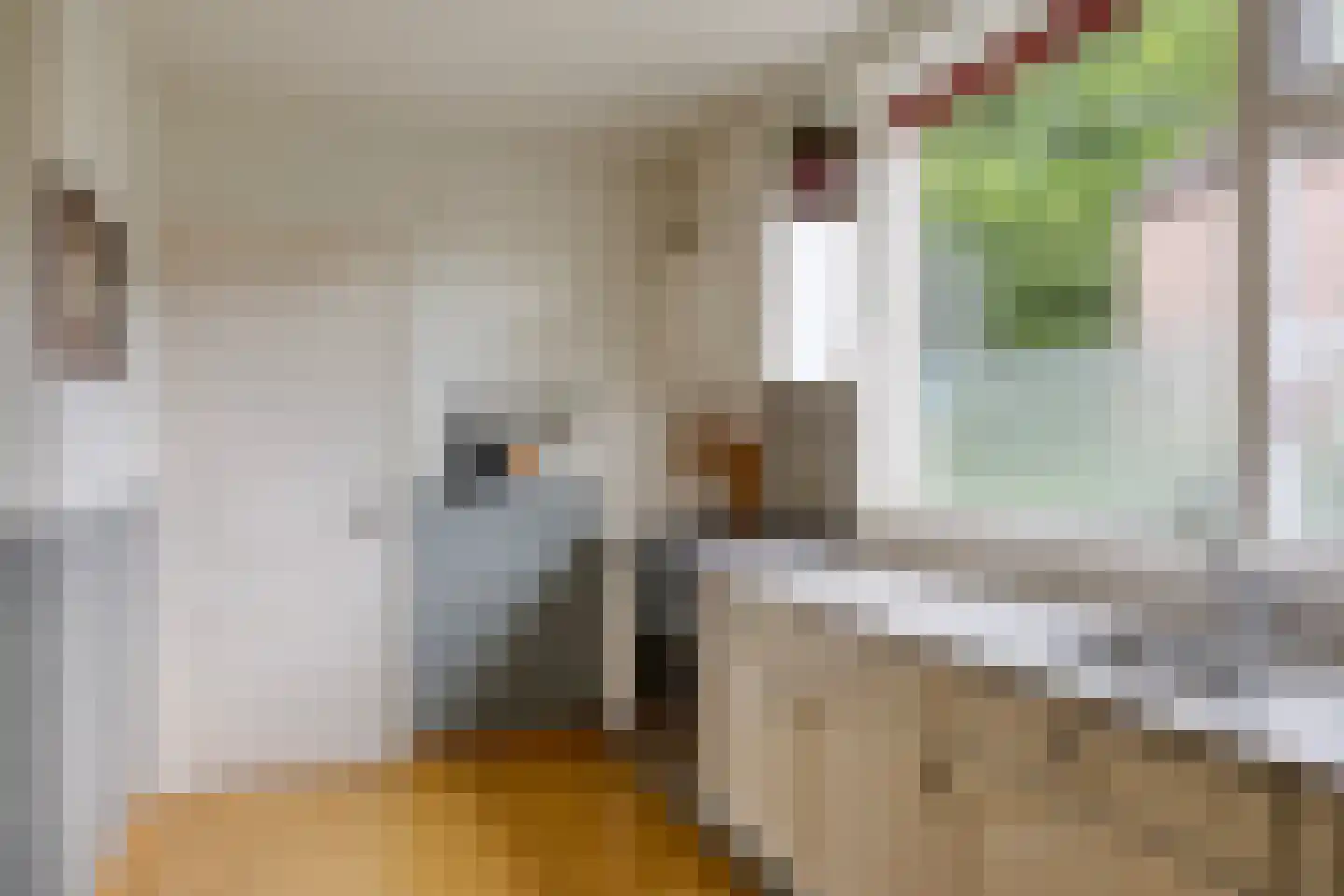Brinkstraat 15 Diever thumbnail 13
