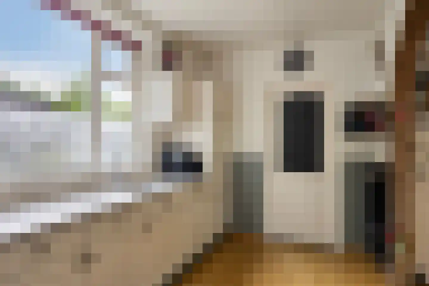 Brinkstraat 15 Diever thumbnail 14