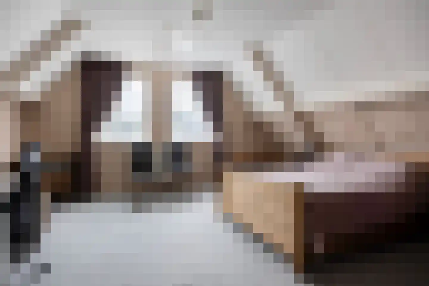 Brinkstraat 15 Diever thumbnail 24