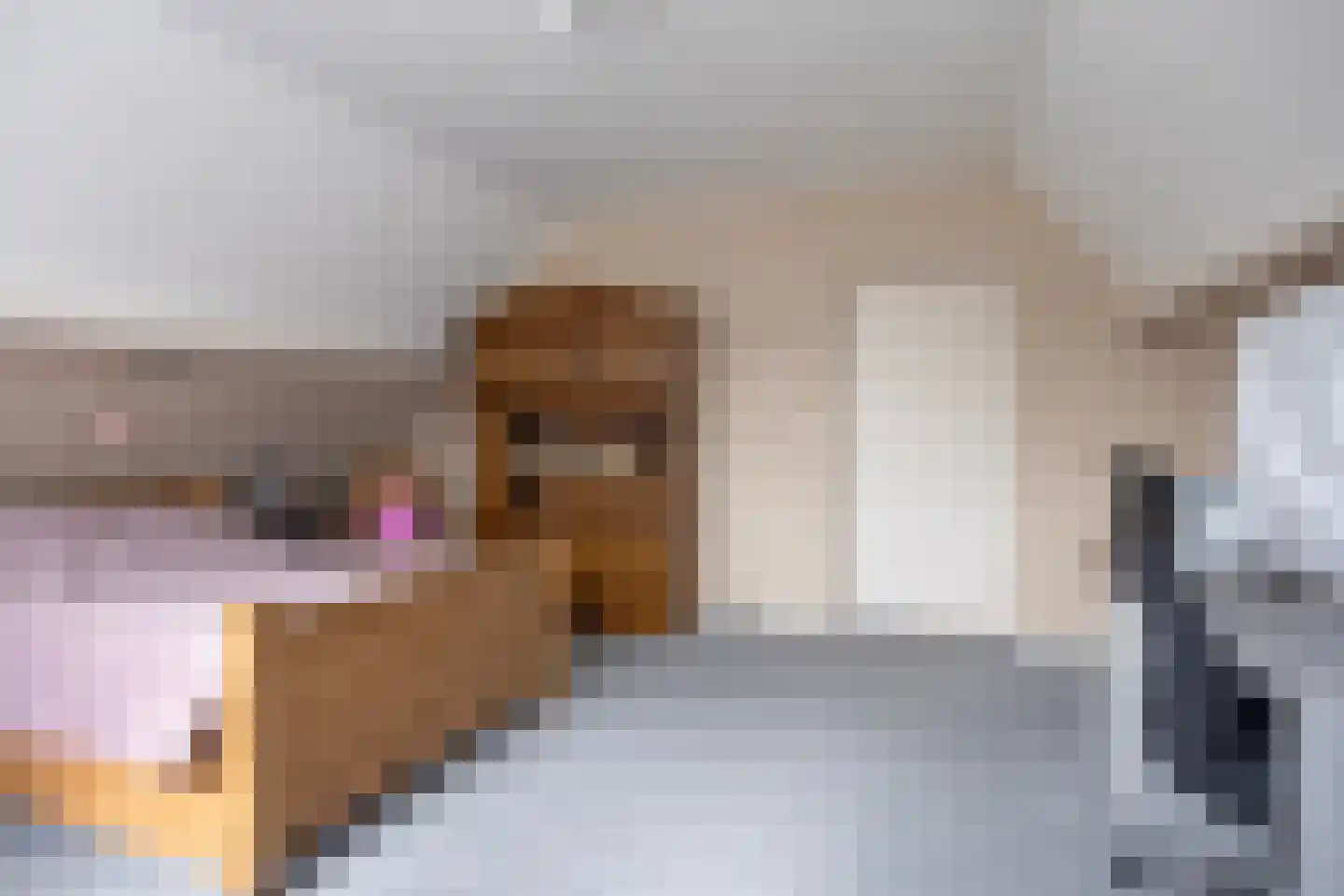 Brinkstraat 15 Diever thumbnail 25