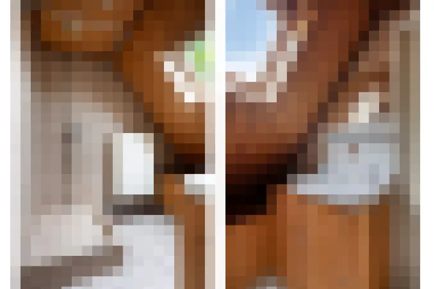 Brinkstraat 15 Diever thumbnail 29