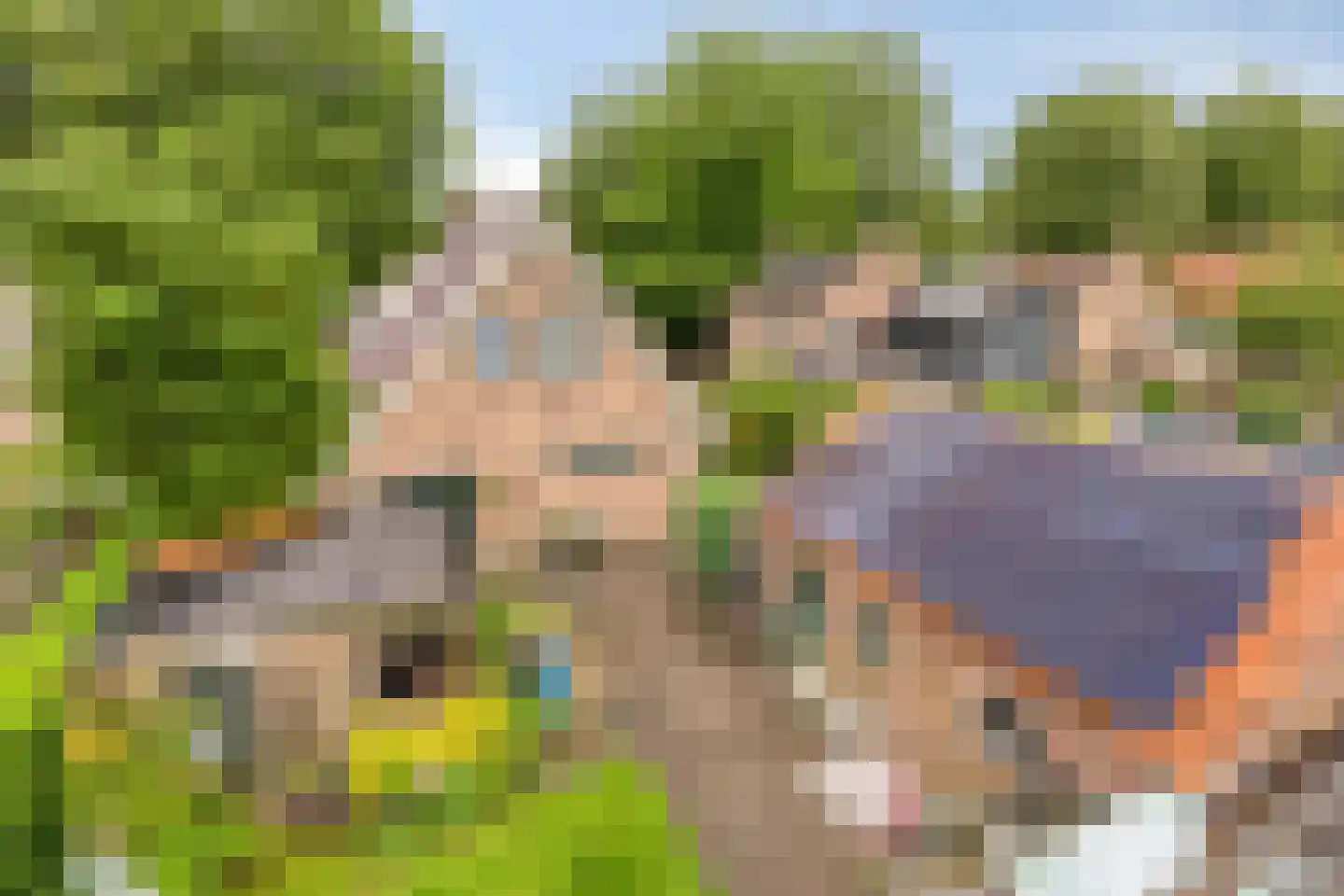 Brinkstraat 15 Diever thumbnail 31