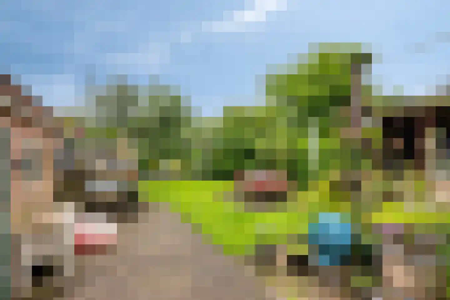Brinkstraat 15 Diever thumbnail 33